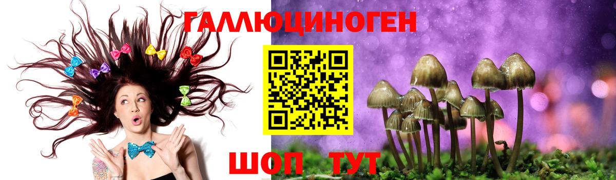 Галлюциногенные грибы Magic Shrooms  Вход с VPN  Чапаевск 