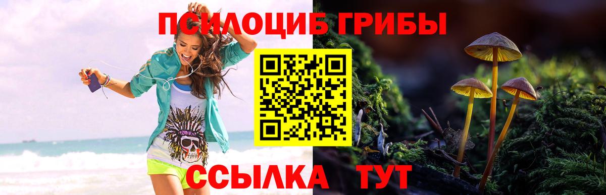 Галлюциногенные грибы MAGIC MUSHROOMS Чапаевск